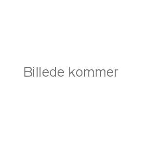 BÆLTER