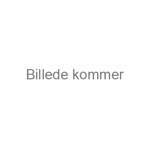 BÆLTER